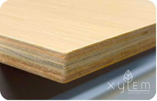 XYLEM kitchen bundle